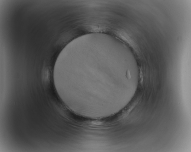 X0000088750165200706282212