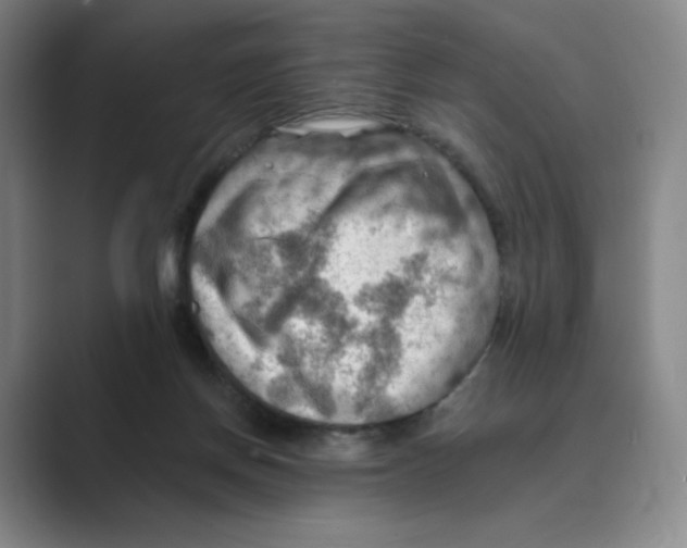 X0000088750166200706282212