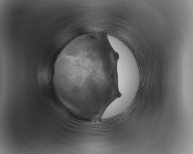 X0000088750168200706282212