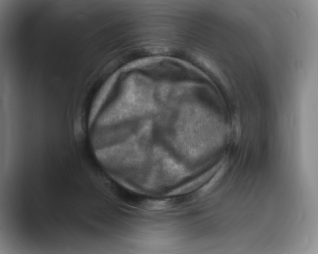 X0000088750170200706282212