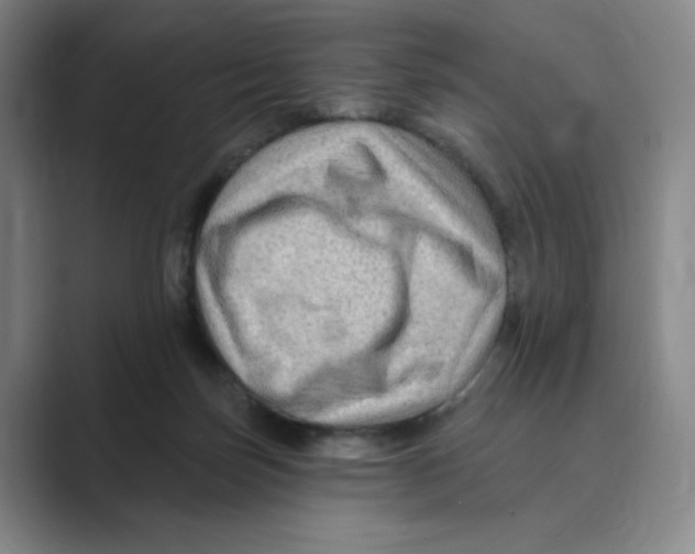 X0000088750171200706282212