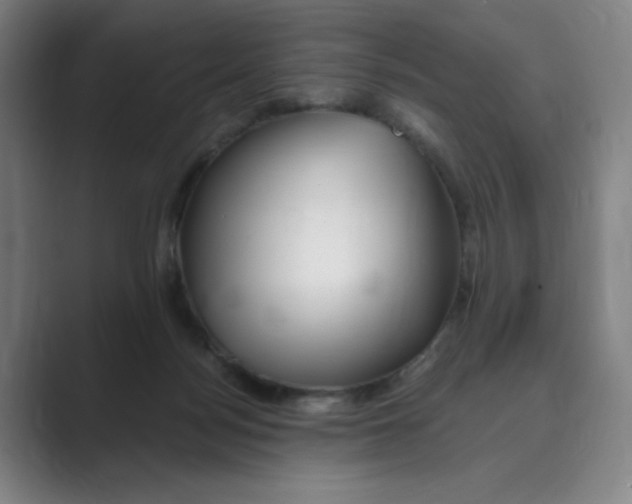 X0000088750172200706282212