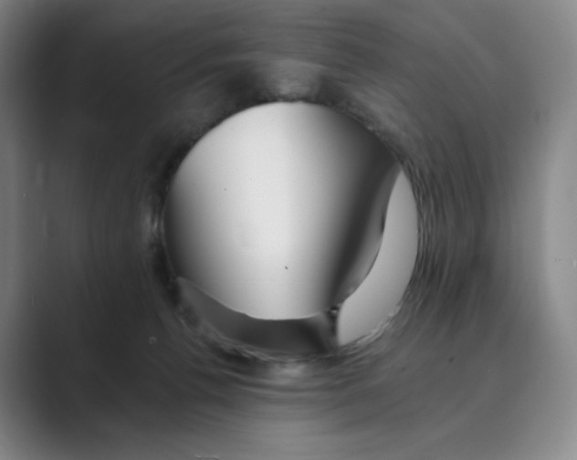 X0000088750176200706282212