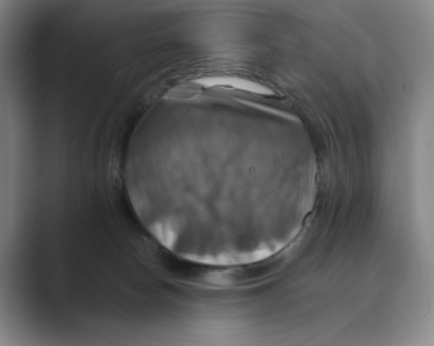 X0000088750178200706282212