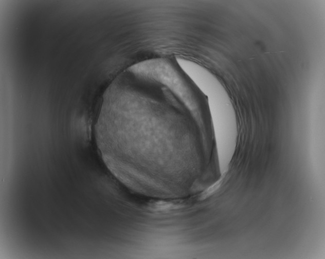 X0000088750180200706282212