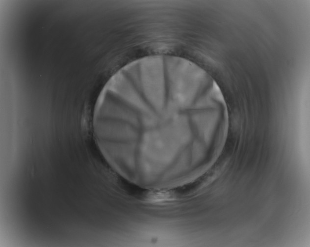 X0000088750181200706282212