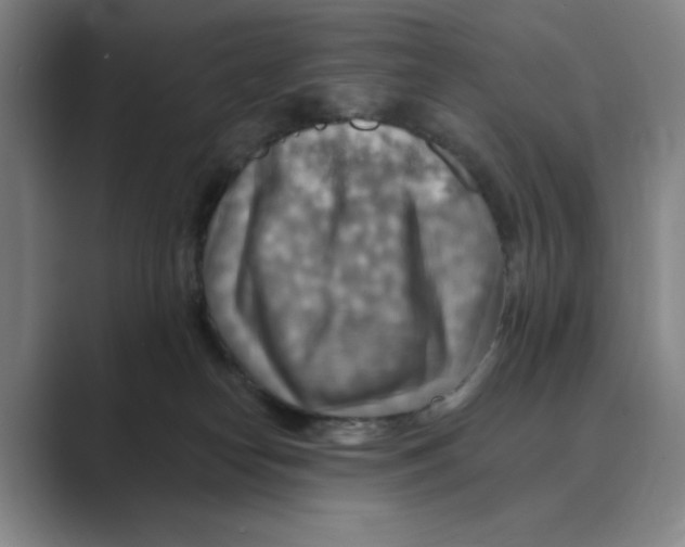 X0000088750182200706282212