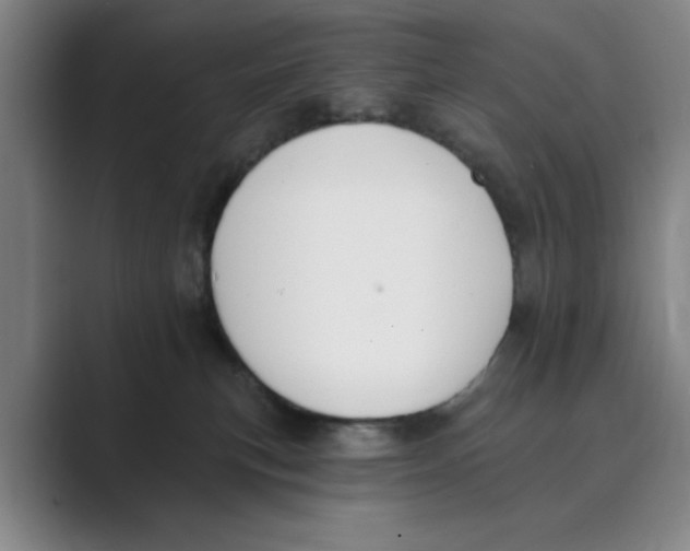 X0000088750183200706282212