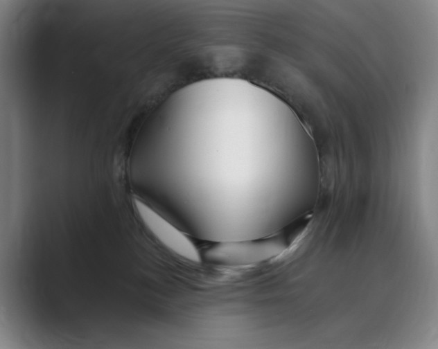 X0000088750184200706282212