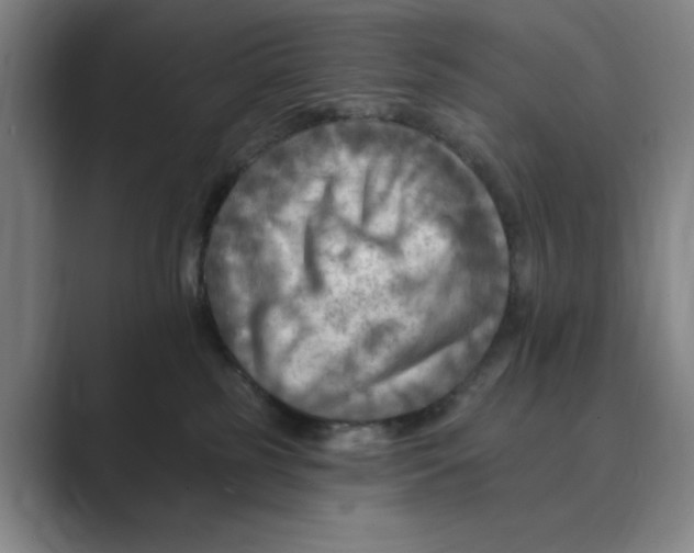 X0000088750185200706282212