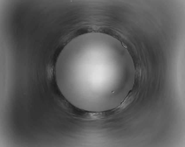 X0000088750188200706282212