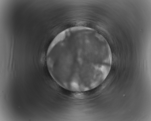 X0000088750189200706282212