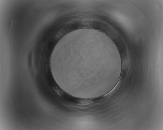 X0000088750191200706282212