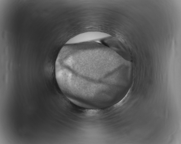 X0000088750192200706282212