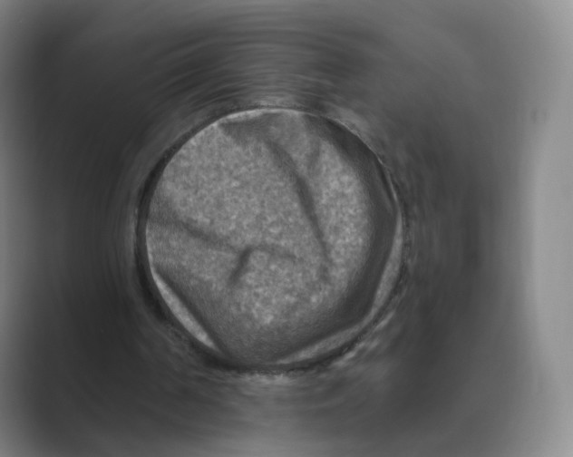 X0000088750194200706282212