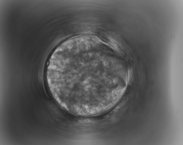 X0000088750195200706282212