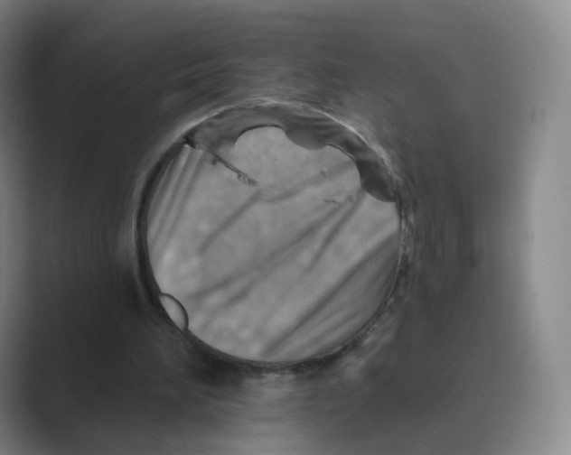 X0000088750196200706282212