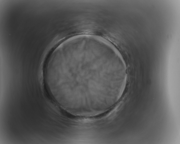 X0000088750198200706282212