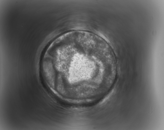 X0000088750199200706282212