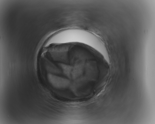 X0000088750200200706282212