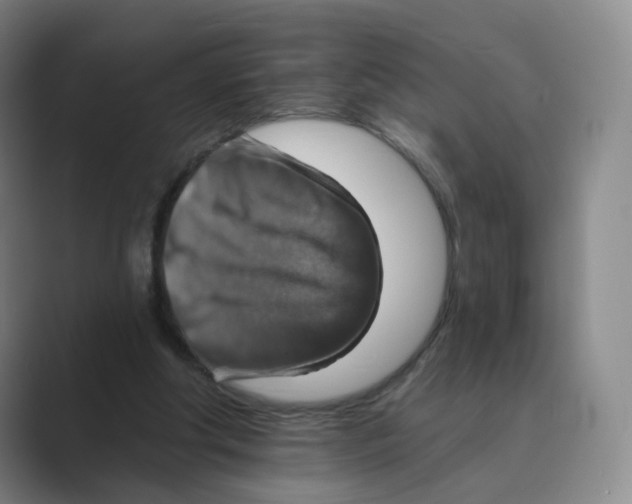 X0000088750202200706282212