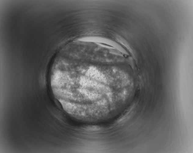 X0000088750203200706282212