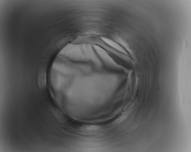 X0000088750205200706282212