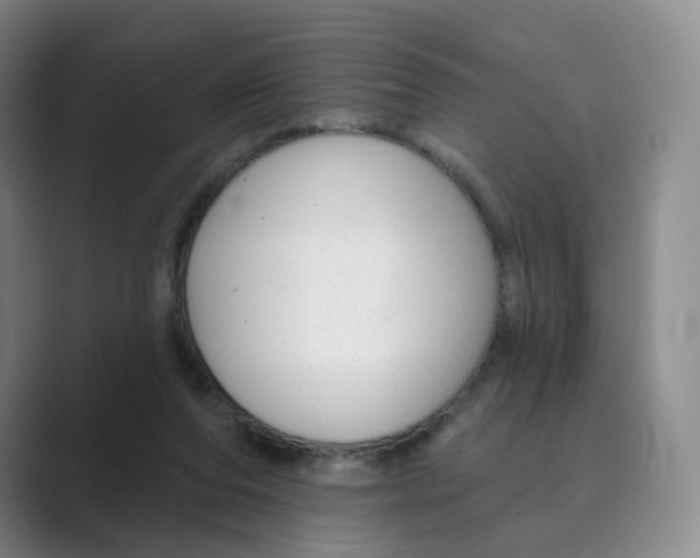 X0000088750208200706282212