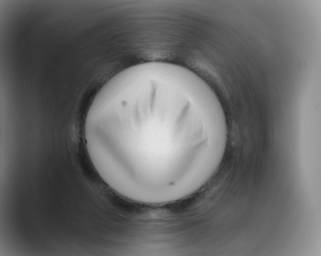 X0000088750210200706282212