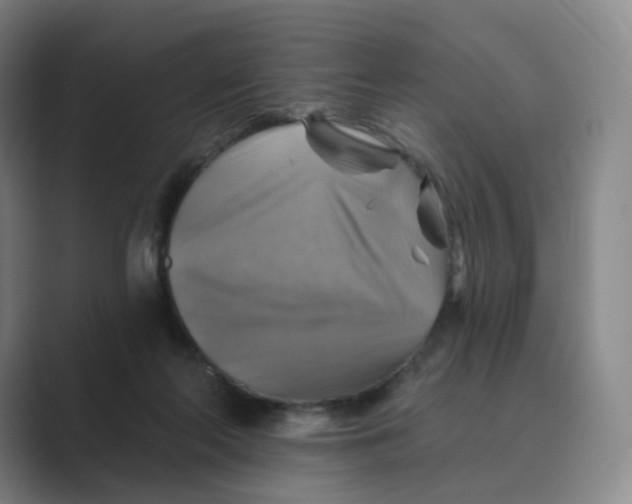 X0000088750214200706282212