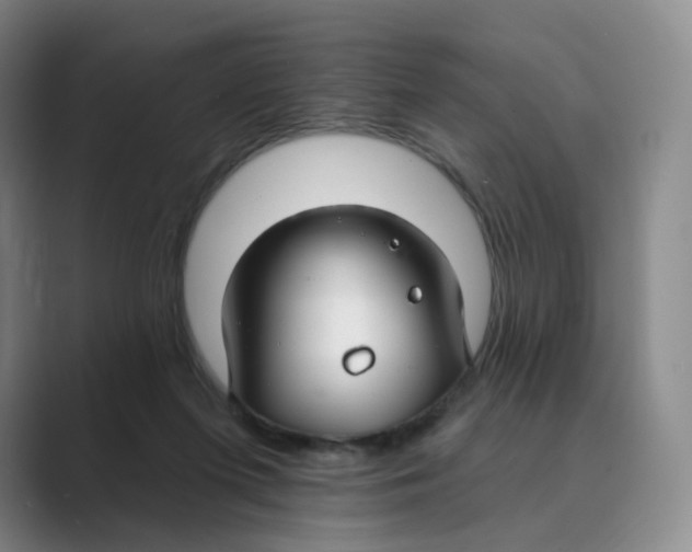 X0000088750215200706282212