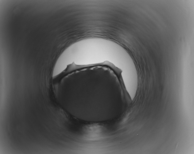 X0000088750219200706282211