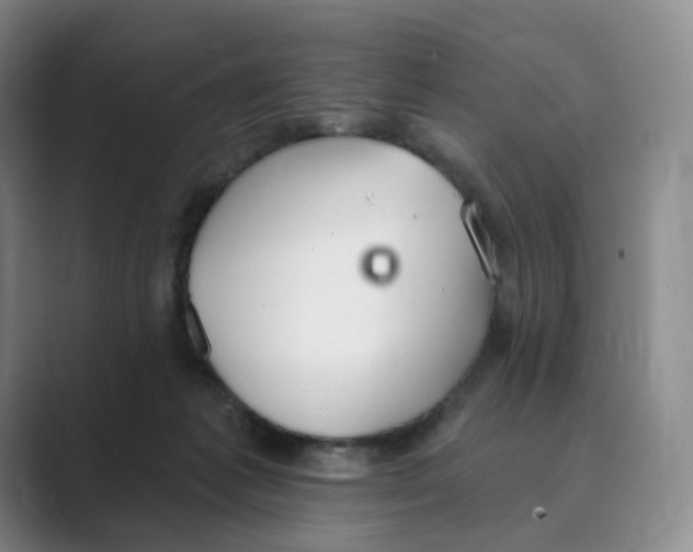 X0000088750221200706282211