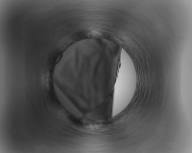 X0000088750223200706282211