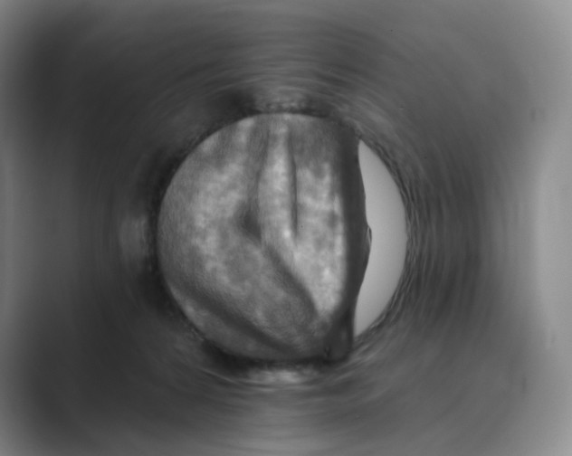 X0000088750224200706282211