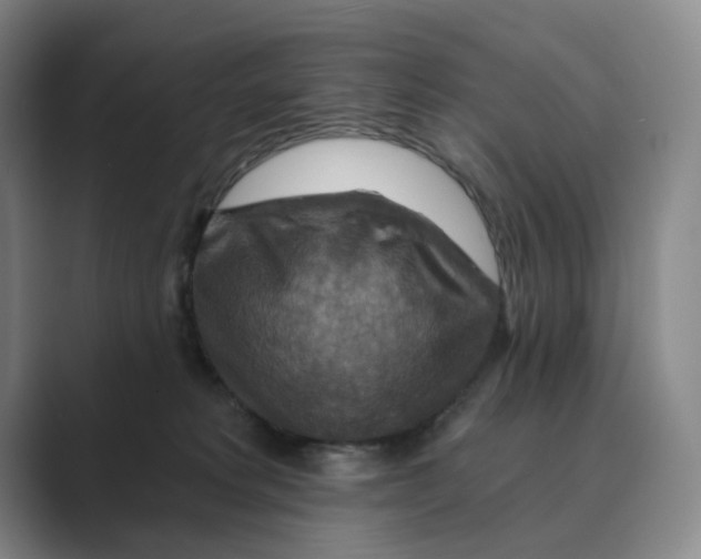 X0000088750229200706282211