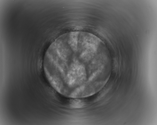 X0000088750230200706282211