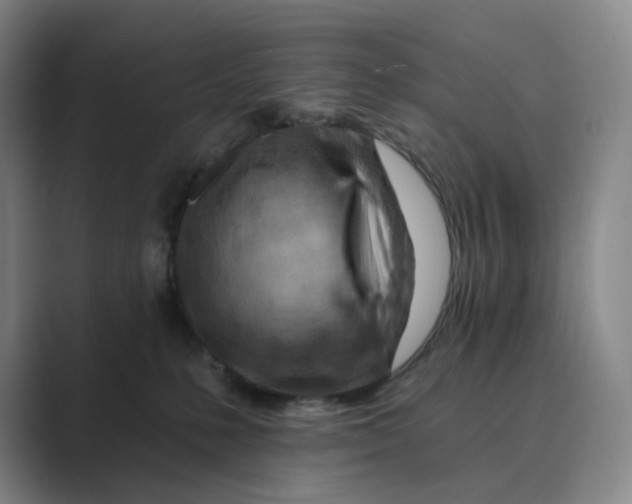 X0000088750231200706282211