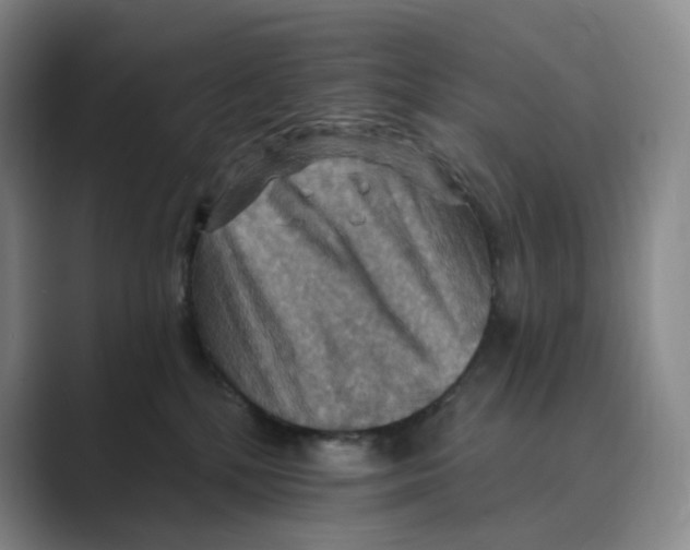 X0000088750232200706282211