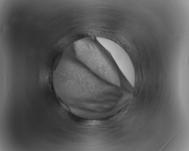 X0000088750233200706282211