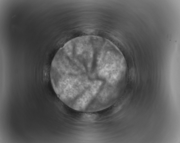 X0000088750234200706282211