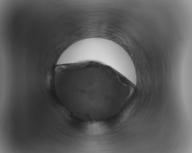 X0000088750235200706282211