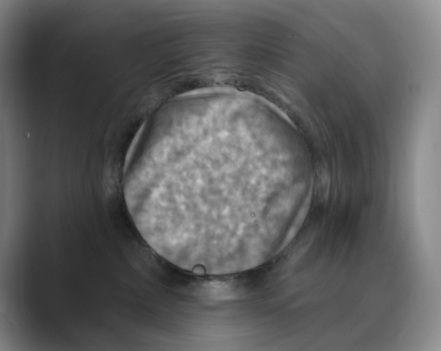 X0000088750236200706282211