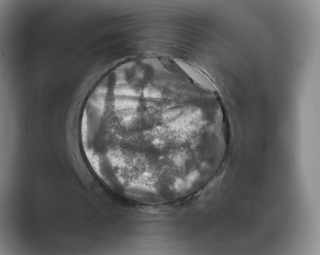 X0000088750241200706282211