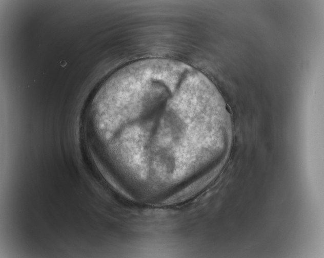 X0000088750242200706282211