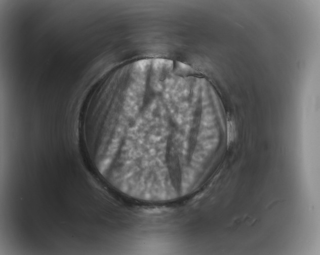 X0000088750243200706282211