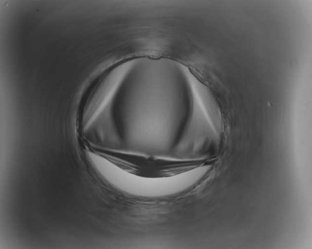 X0000088750244200706282211