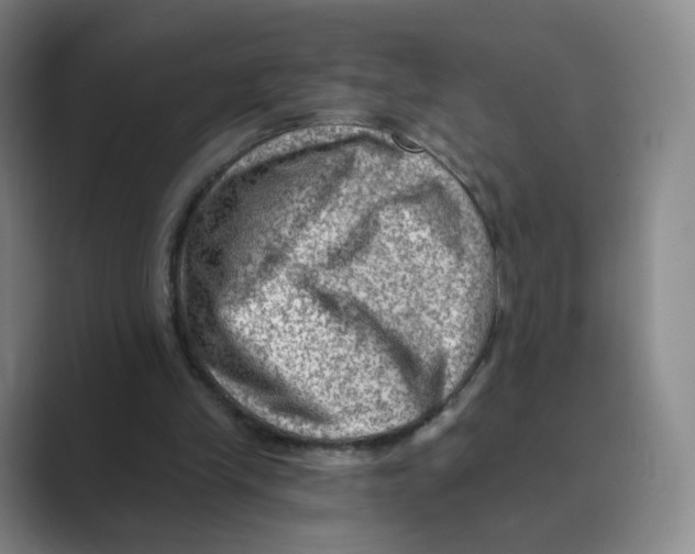 X0000088750245200706282211