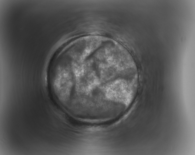 X0000088750246200706282211