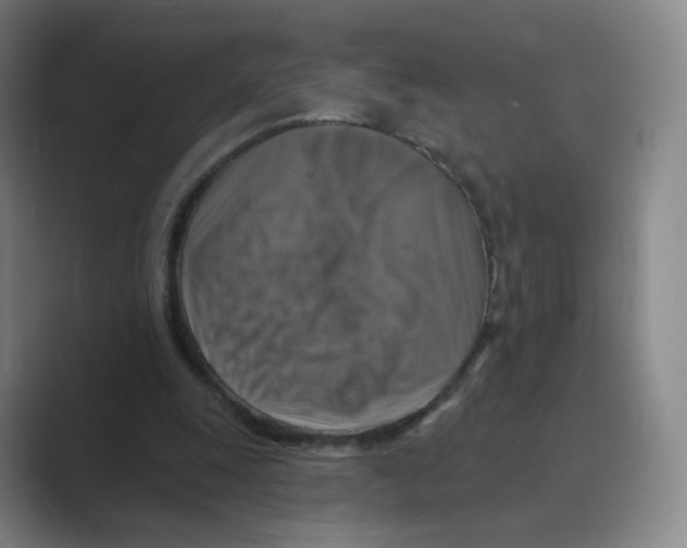 X0000088750247200706282211